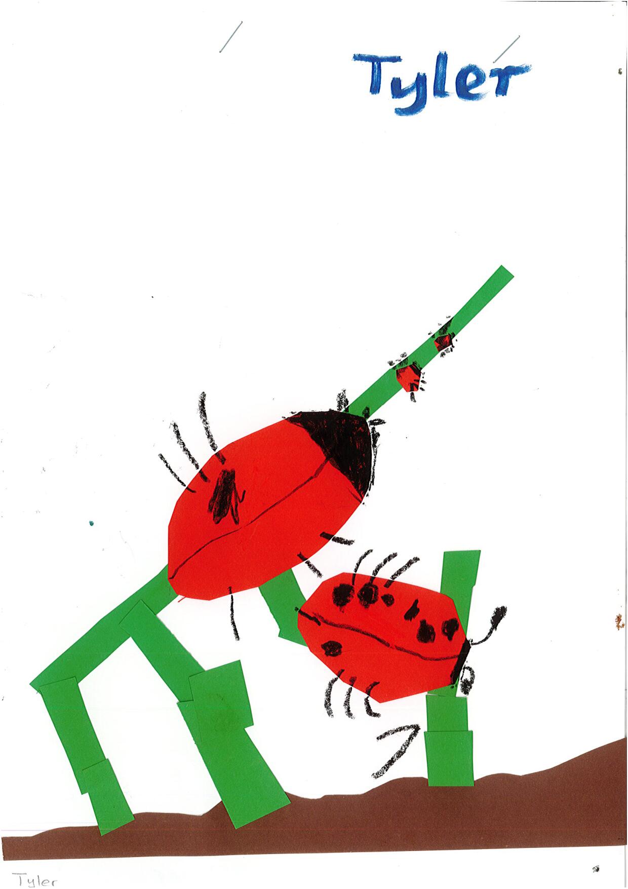 /uploaded_files/media/gallery/1659496289Lady bird art collage-2.jpg